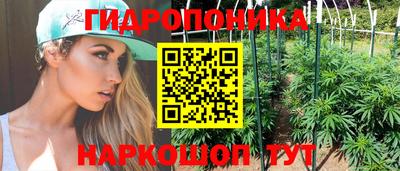 дурь Будённовск