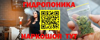 стаф Бузулук
